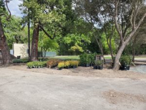 Bell Wine Cellars Remodel Renovation Commercial Construction Companies Near Me General Contractor Napa Winery Vineyard Landscaping Plants Outdoor Area
